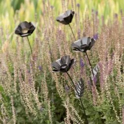 Poppy Flower Stake -Plants Shop pr2000028381 card3 lg