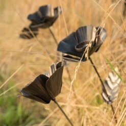 Poppy Flower Stake -Plants Shop pr2000028381 card5 lg