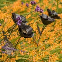 Poppy Flower Stake -Plants Shop pr2000028381 card6 lg