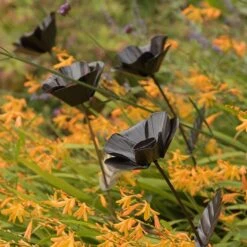 Poppy Flower Stake -Plants Shop pr2000028381 card7 lg