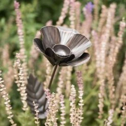 Poppy Flower Stake -Plants Shop pr2000028381 card8 lg