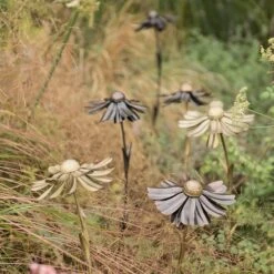 Helenium Flower Stake -Plants Shop pr2000028383 card4 lg