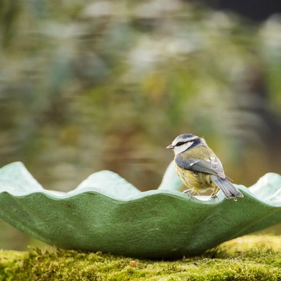 Verdigris Leaf Bird Bath 1 Verdigris Leaf Bird Bath