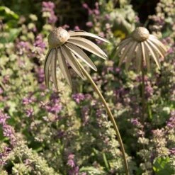 Echinacea Plant Stake - Antique Brass -Plants Shop pr2000028406 card6 lg