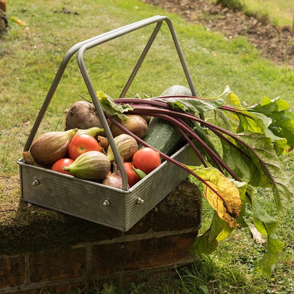 Planting Tray / Trug 10 Planting Tray / Trug - Image 10