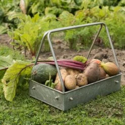 Planting Tray / Trug 12 Planting Tray / Trug -Plants Shop pr2000028415 card3 lg