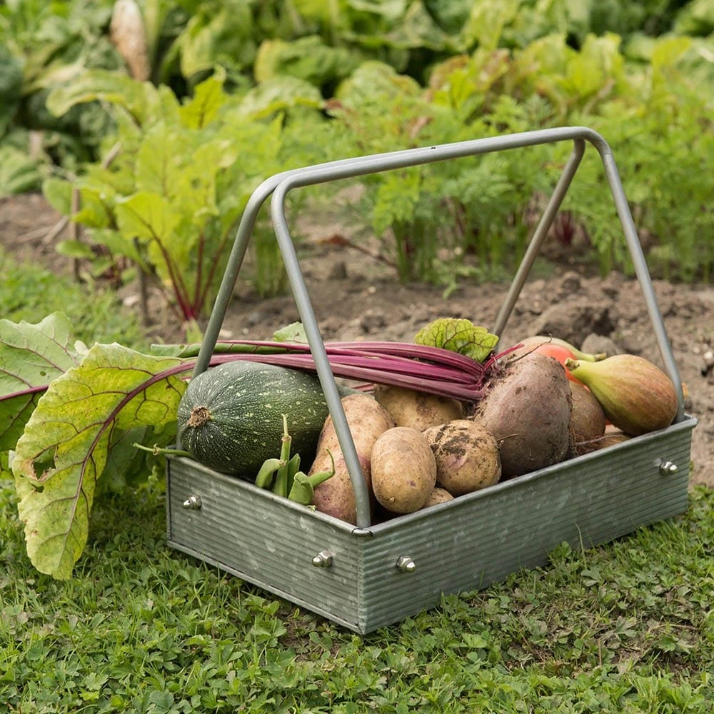 Planting Tray / Trug 3 Planting Tray / Trug - Image 3