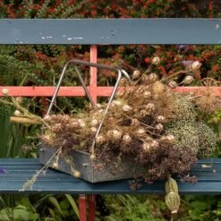 Planting Tray / Trug 13 Planting Tray / Trug -Plants Shop pr2000028415 card4 lg