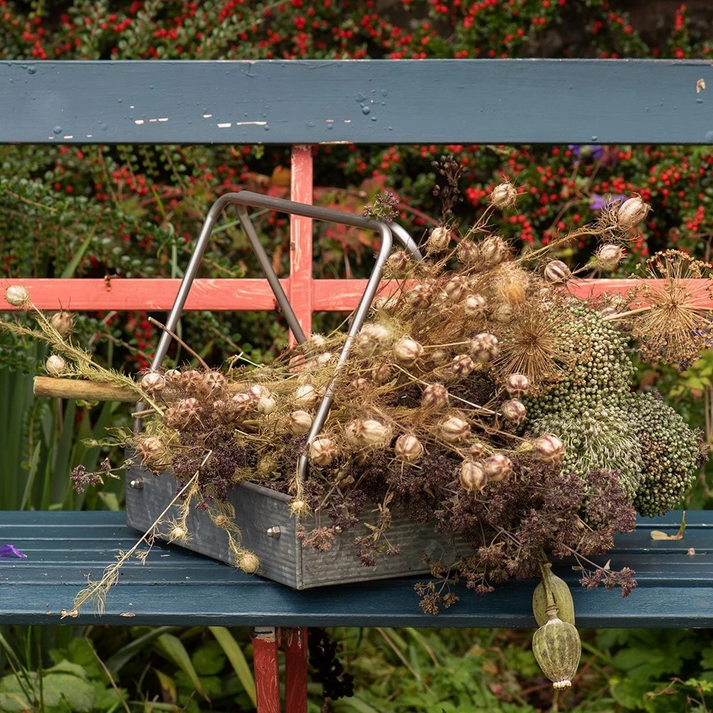 Planting Tray / Trug 4 Planting Tray / Trug - Image 4