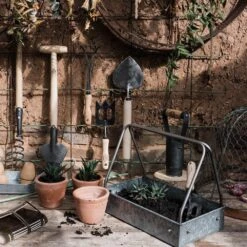 Planting Tray / Trug 15 Planting Tray / Trug -Plants Shop pr2000028415 card6 lg