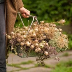 Planting Tray / Trug 16 Planting Tray / Trug -Plants Shop pr2000028415 card7 lg