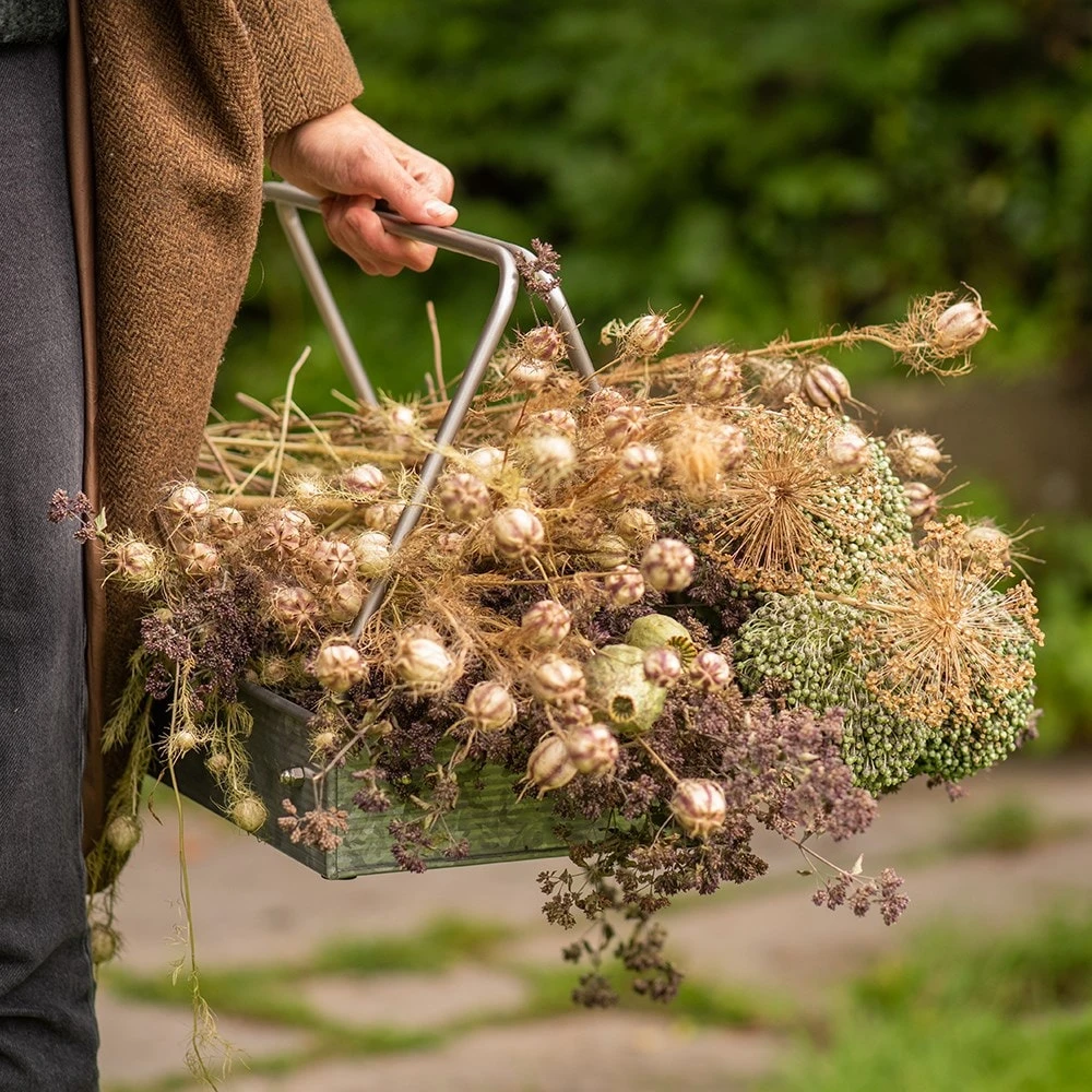 Planting Tray / Trug 7 Planting Tray / Trug - Image 7