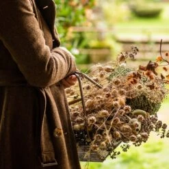 Planting Tray / Trug 17 Planting Tray / Trug -Plants Shop pr2000028415 card8 lg