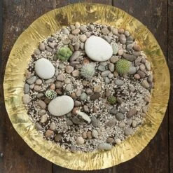 Brass Plant Bowl -Plants Shop pr2000028421 card4 lg