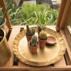 Brass Tray -Plants Shop pr2000028422 card3 lg