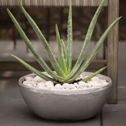 Rough Cast Aluminium Bowl -Plants Shop pr2000028424 card6 lg