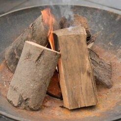 Fire Starter Dome -Plants Shop pr2000028456 card3 lg