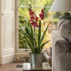 Hand Etched Aluminium Planter -Plants Shop pr2000028556 card5 lg