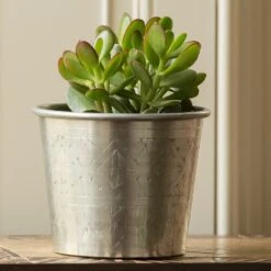 Hand Etched Aluminium Planter -Plants Shop pr2000028556 card7 lg