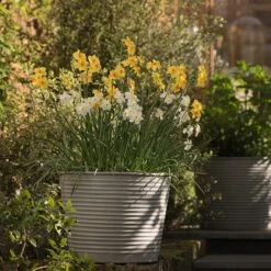 Ribbed Zinc Planter -Plants Shop pr2000028781 card3 lg