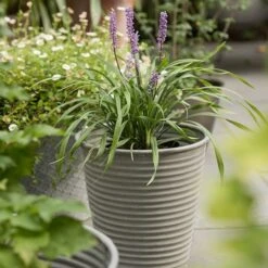 Ribbed Zinc Planter -Plants Shop pr2000028781 card7 lg
