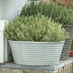 Ribbed Zinc Planter -Plants Shop pr2000028781 card8 lg
