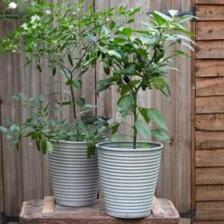 Ribbed Zinc Planter -Plants Shop pr2000028781 card9 lg