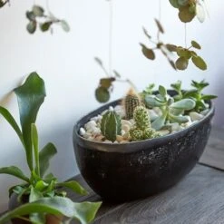 Rough Cast Aluminium Bowl - Charcoal Black -Plants Shop pr2000028887 card3 lg