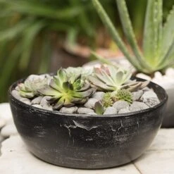 Rough Cast Aluminium Bowl - Charcoal Black -Plants Shop pr2000028887 card8 lg