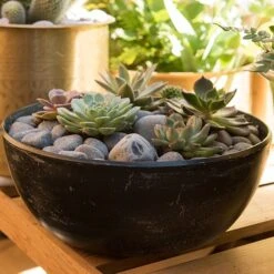 Rough Cast Aluminium Bowl - Charcoal Black -Plants Shop pr2000028887 card9 lg