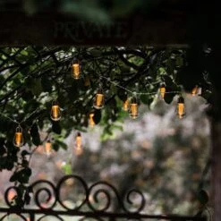 Edison Style Bulb LED Light String -Plants Shop pr2000029221 card6 lg