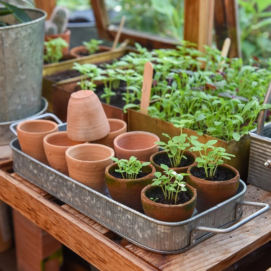 Terracotta Grow Pots - Set Of 10 With Tray 1 Terracotta Grow Pots - Set Of 10 With Tray