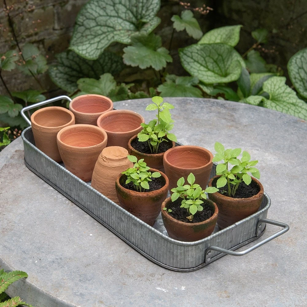 Terracotta Grow Pots - Set Of 10 With Tray 2 Terracotta Grow Pots - Set Of 10 With Tray - Image 2