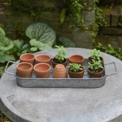 Terracotta Grow Pots - Set Of 10 With Tray 11 Terracotta Grow Pots - Set Of 10 With Tray -Plants Shop pr2000029288 card3 lg