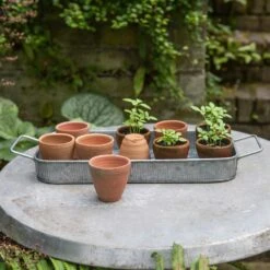 Terracotta Grow Pots - Set Of 10 With Tray 12 Terracotta Grow Pots - Set Of 10 With Tray -Plants Shop pr2000029288 card4 lg