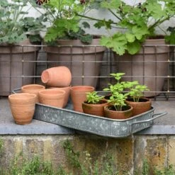 Terracotta Grow Pots - Set Of 10 With Tray 13 Terracotta Grow Pots - Set Of 10 With Tray -Plants Shop pr2000029288 card5 lg