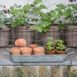 Terracotta Grow Pots - Set Of 10 With Tray 14 Terracotta Grow Pots - Set Of 10 With Tray -Plants Shop pr2000029288 card6 lg