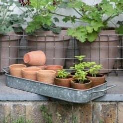Terracotta Grow Pots - Set Of 10 With Tray 15 Terracotta Grow Pots - Set Of 10 With Tray -Plants Shop pr2000029288 card7 lg
