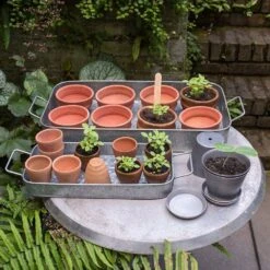 Terracotta Grow Pots - Set Of 10 With Tray 16 Terracotta Grow Pots - Set Of 10 With Tray -Plants Shop pr2000029288 card8 lg