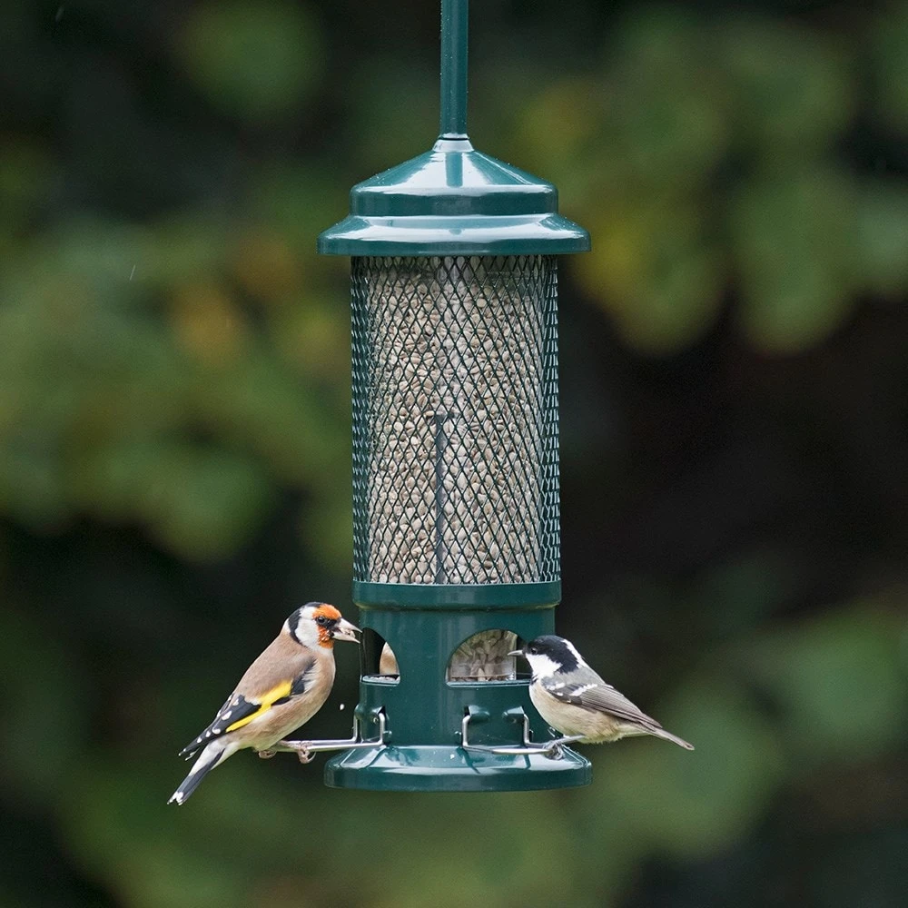 The Squirrel Buster Seed Feeder 2 The Squirrel Buster Seed Feeder - Image 2