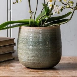 Crackle Glaze Plant Pot - Mint 5 Crackle Glaze Plant Pot - Mint -Plants Shop pr2000031226 card3 lg
