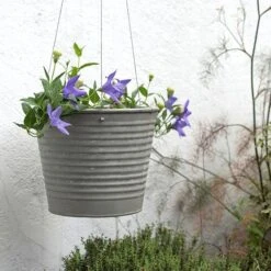 Hanging Aged Ribbed Planter 15 Hanging Aged Ribbed Planter -Plants Shop pr2000031414 card11 lg