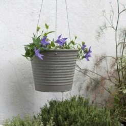 Hanging Aged Ribbed Planter 11 Hanging Aged Ribbed Planter -Plants Shop pr2000031414 card4 lg