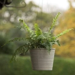 Hanging Aged Ribbed Planter 12 Hanging Aged Ribbed Planter -Plants Shop pr2000031414 card5 lg