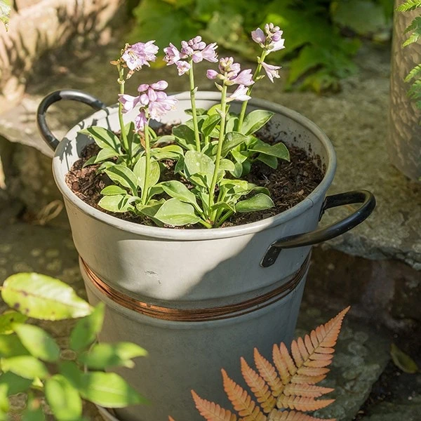 Planter With Copper Belt And Tray 3 Planter With Copper Belt And Tray - Image 3