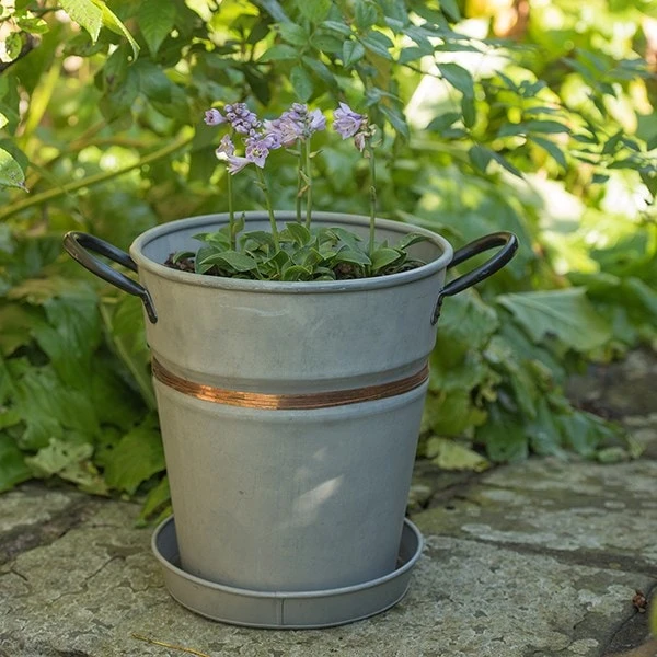 Planter With Copper Belt And Tray 4 Planter With Copper Belt And Tray - Image 4