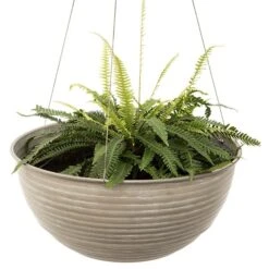 Hanging Aged Ribbed Bowl -Plants Shop pr2000031455 card3 lg