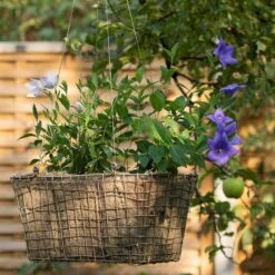 Rectangular Net Hanging Basket