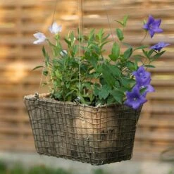 Rectangular Net Hanging Basket -Plants Shop pr2000031461 card3 lg