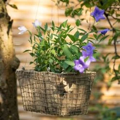 Rectangular Net Hanging Basket -Plants Shop pr2000031461 card7 lg